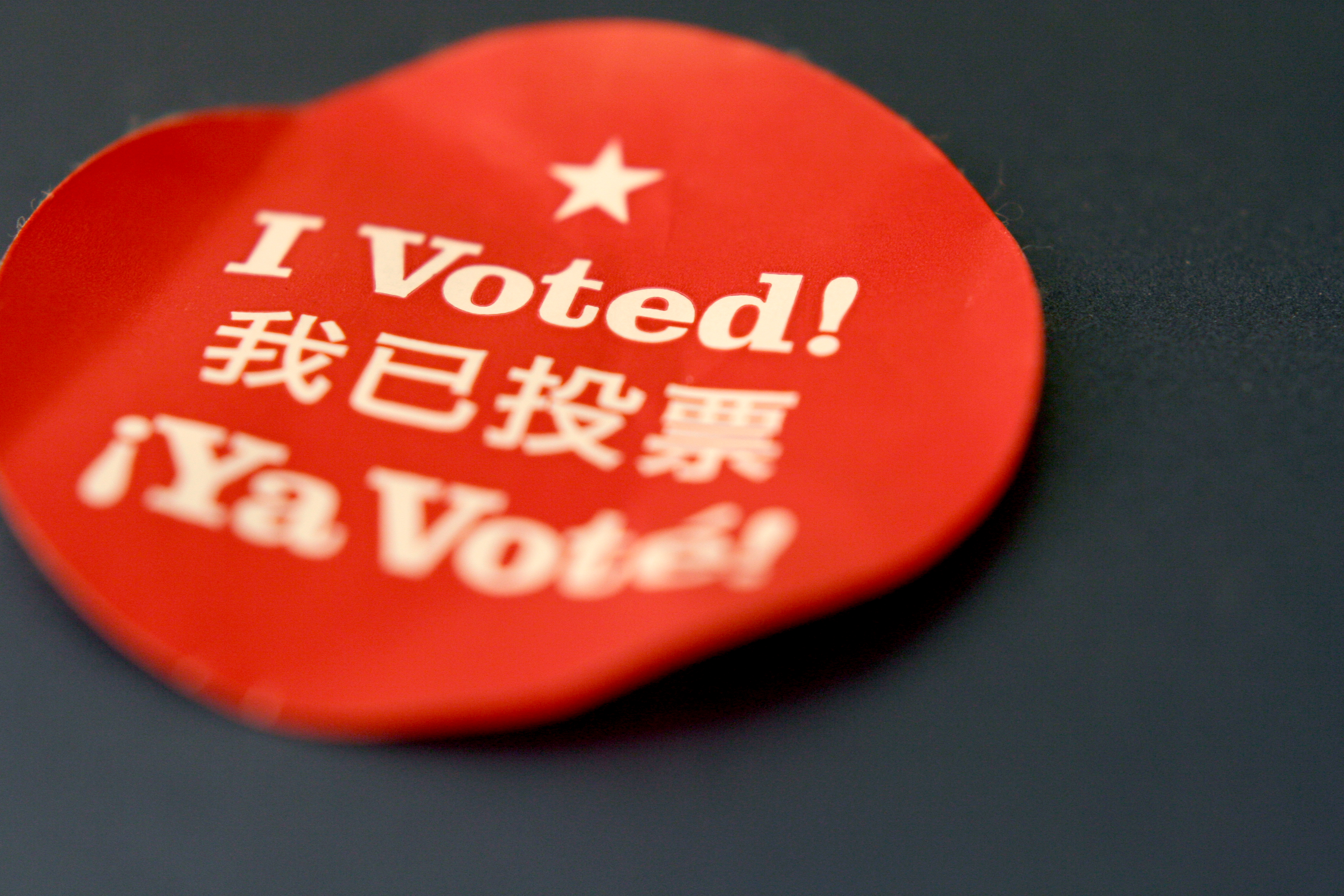 I voted sticker election